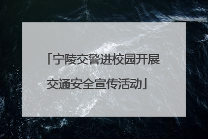 宁陵交警进校园开展交通安全宣传活动