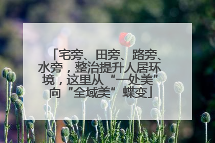 宅旁、田旁、路旁、水旁，整治提升人居环境，这里从“一处美”向“全域美”蝶变