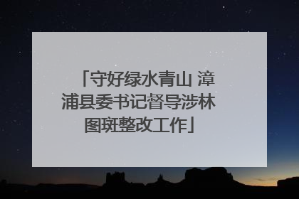 守好绿水青山 漳浦县委书记督导涉林图斑整改工作