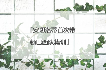 安切洛蒂首次带领巴西队集训
