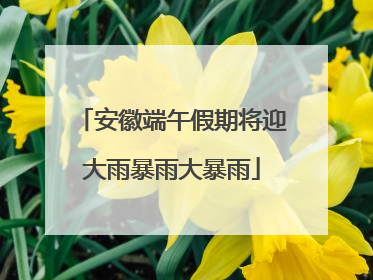 安徽端午假期将迎大雨暴雨大暴雨