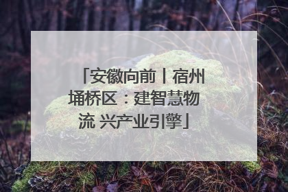 安徽向前丨宿州埇桥区：建智慧物流 兴产业引擎