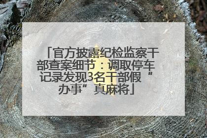 官方披露纪检监察干部查案细节：调取停车记录发现3名干部假“办事”真麻将