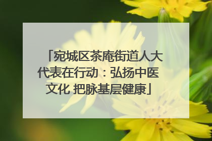 宛城区茶庵街道人大代表在行动：弘扬中医文化 把脉基层健康