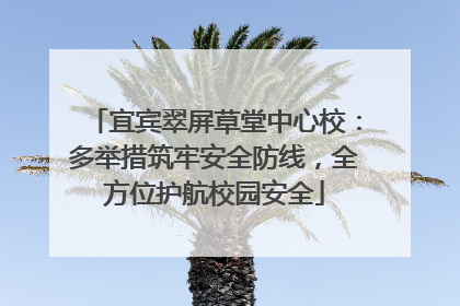 宜宾翠屏草堂中心校：多举措筑牢安全防线，全方位护航校园安全
