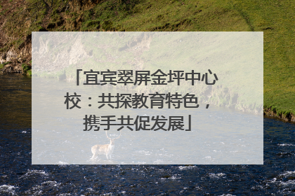 宜宾翠屏金坪中心校：共探教育特色，携手共促发展