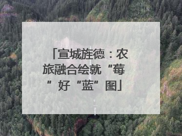 宣城旌德：农旅融合绘就“莓”好“蓝”图