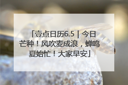 壹点日历6.5｜今日芒种！风吹麦成浪，蝉鸣夏始忙！大家早安