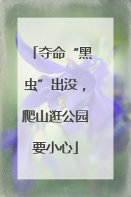 夺命“黑虫”出没，爬山逛公园要小心