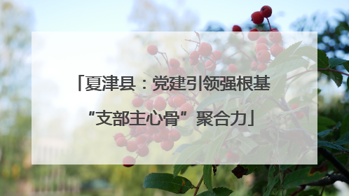 夏津县：党建引领强根基 “支部主心骨”聚合力