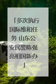 多次执行国际维和任务 山东公安民警陈强亮相国新办