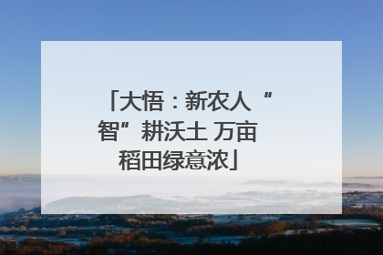 大悟：新农人“智”耕沃土 万亩稻田绿意浓