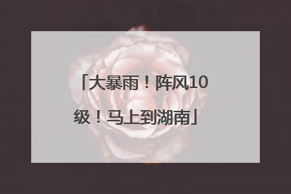 大暴雨！阵风10级！马上到湖南