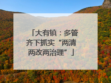 大有镇：多管齐下抓实“两清两改两治理”