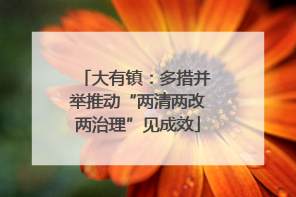 大有镇：多措并举推动“两清两改两治理”见成效