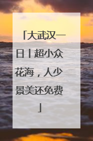 大武汉一日丨超小众花海，人少景美还免费