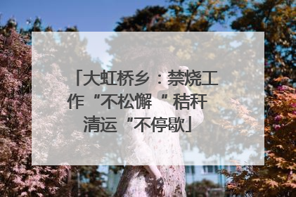 大虹桥乡：禁烧工作“不松懈“ 秸秆清运“不停歇