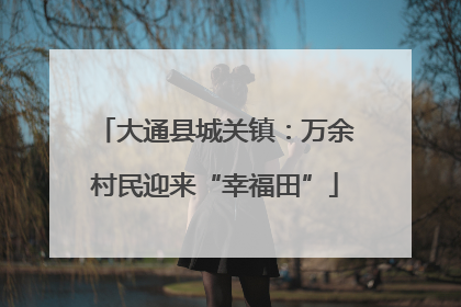 大通县城关镇：万余村民迎来“幸福田”