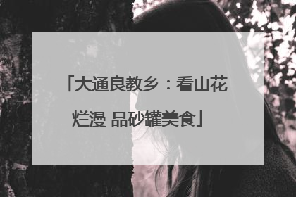 大通良教乡：看山花烂漫 品砂罐美食