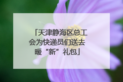 天津静海区总工会为快递员们送去暖“新”礼包