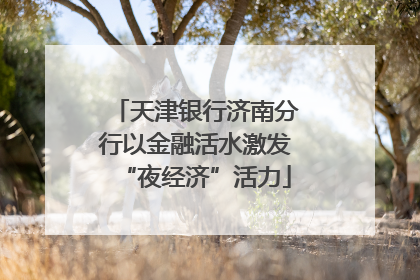 天津银行济南分行以金融活水激发“夜经济”活力