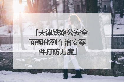 天津铁路公安全面强化列车治安案件打防力度