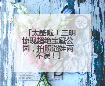 太酷啦！三明惊现超绝宝藏公园，拍照遛娃两不误！