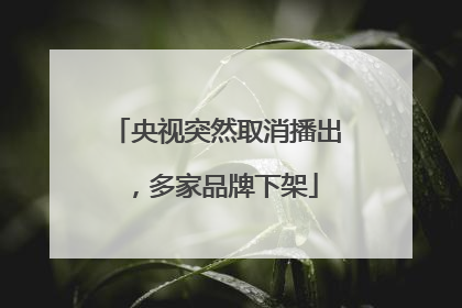 央视突然取消播出，多家品牌下架
