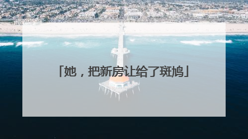 她，把新房让给了斑鸠