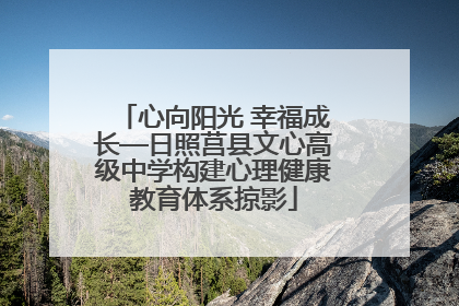 心向阳光 幸福成长—日照莒县文心高级中学构建心理健康教育体系掠影