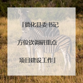 德化县委书记方俊钦调研重点项目建设工作
