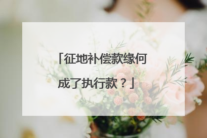 征地补偿款缘何成了执行款？