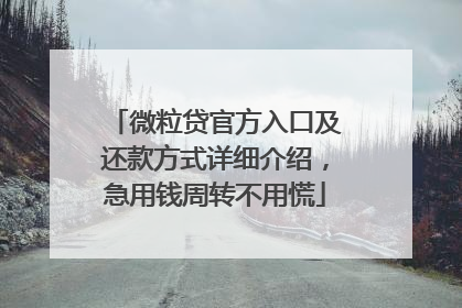 微粒贷官方入口及还款方式详细介绍，急用钱周转不用慌