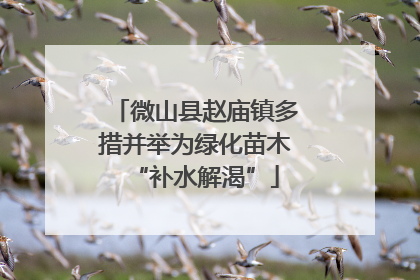 微山县赵庙镇多措并举为绿化苗木“补水解渴”