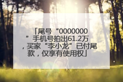 尾号“0000000”手机号拍出61.2万，买家“李小龙”已付尾款，仅享有使用权