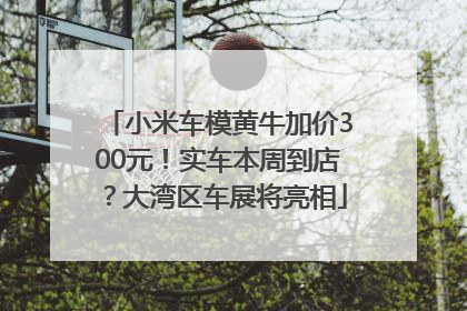 小米车模黄牛加价300元！实车本周到店？大湾区车展将亮相