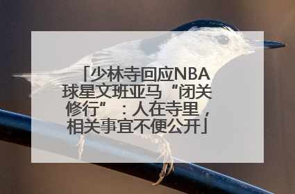 少林寺回应NBA球星文班亚马“闭关修行”：人在寺里，相关事宜不便公开