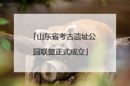 山东省考古遗址公园联盟正式成立