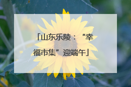 山东乐陵：“幸福市集”迎端午