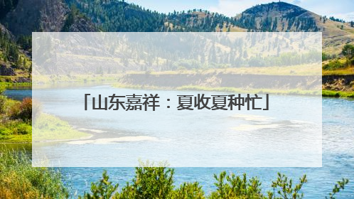 山东嘉祥：夏收夏种忙