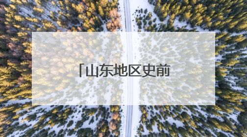 山东地区史前考古研究重大成果在济南发布