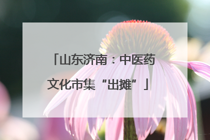 山东济南：中医药文化市集“出摊”