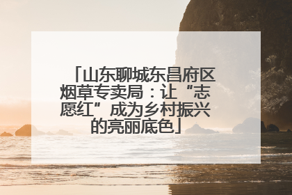 山东聊城东昌府区烟草专卖局：让“志愿红”成为乡村振兴的亮丽底色