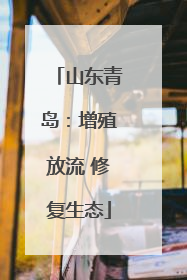 山东青岛：增殖放流 修复生态