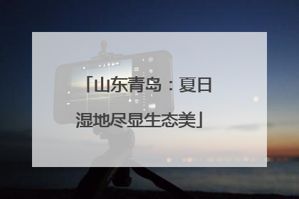 山东青岛：夏日湿地尽显生态美