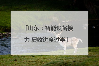 山东：智能设备接力 夏收进度过半