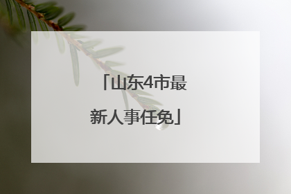 山东4市最新人事任免