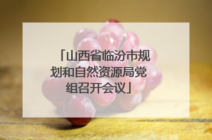 山西省临汾市规划和自然资源局党组召开会议