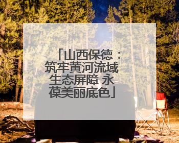 山西保德：筑牢黄河流域生态屏障 永葆美丽底色