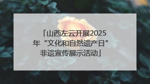 山西左云开展2025年“文化和自然遗产日”非遗宣传展示活动
